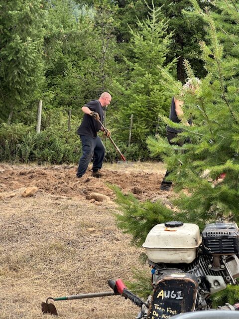 The new BLOOM pollinator garden being developed at Bluestone Acres Acres near Vavenby, British Columbia.