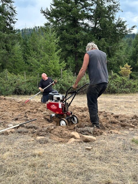 The new BLOOM pollinator garden being developed at Bluestone Acres Acres near Vavenby, British Columbia.